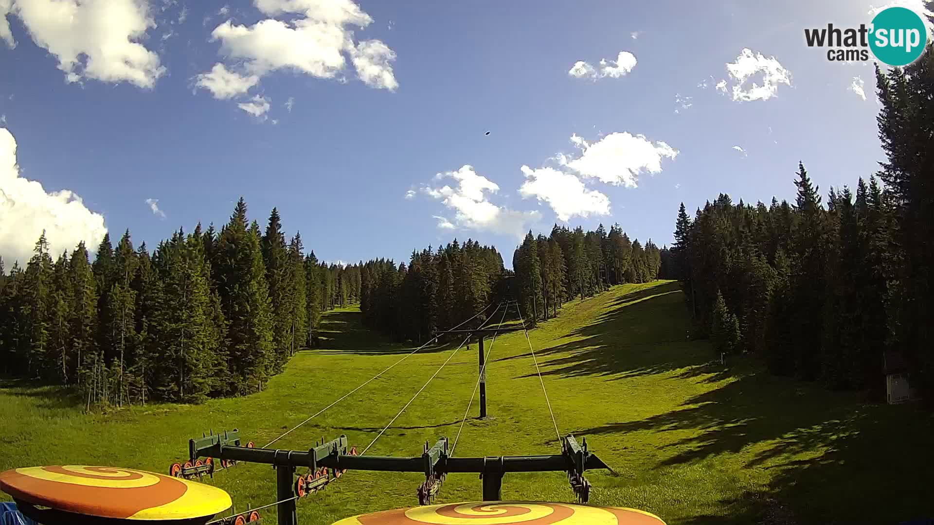 Comprensorio sciistico Rogla Webcam live Ostruščica piste 1 e 2