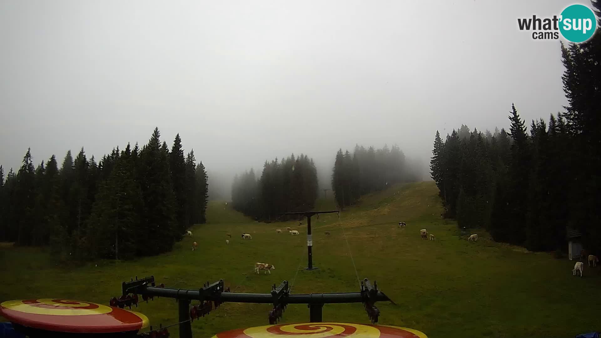Skigebiet Rogla Webcam Ostruščica Piste 1 und 2