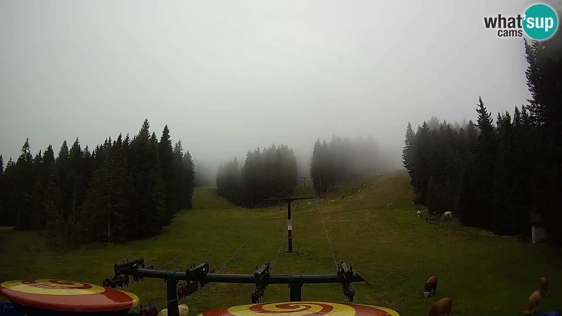 Webcam Live Rogla ski resort – Ostruščica