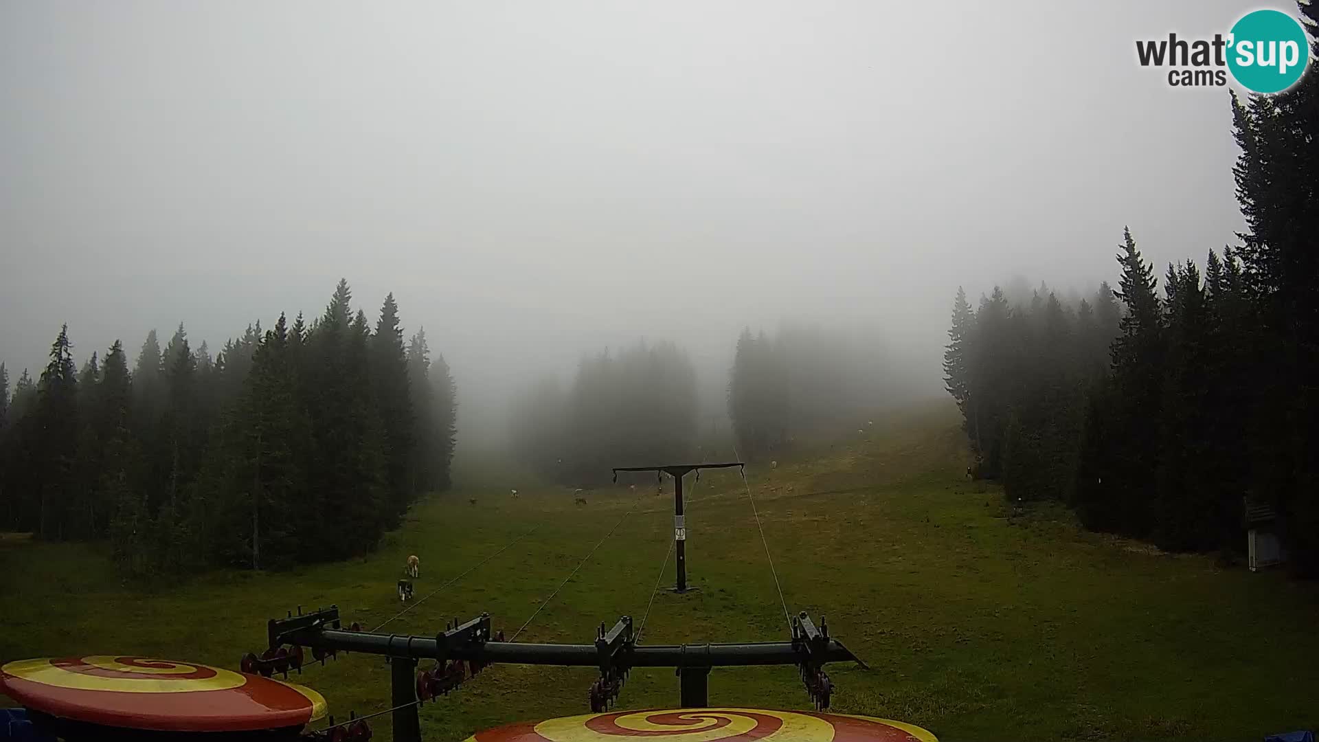 Webcam Live Rogla ski resort – Ostruščica