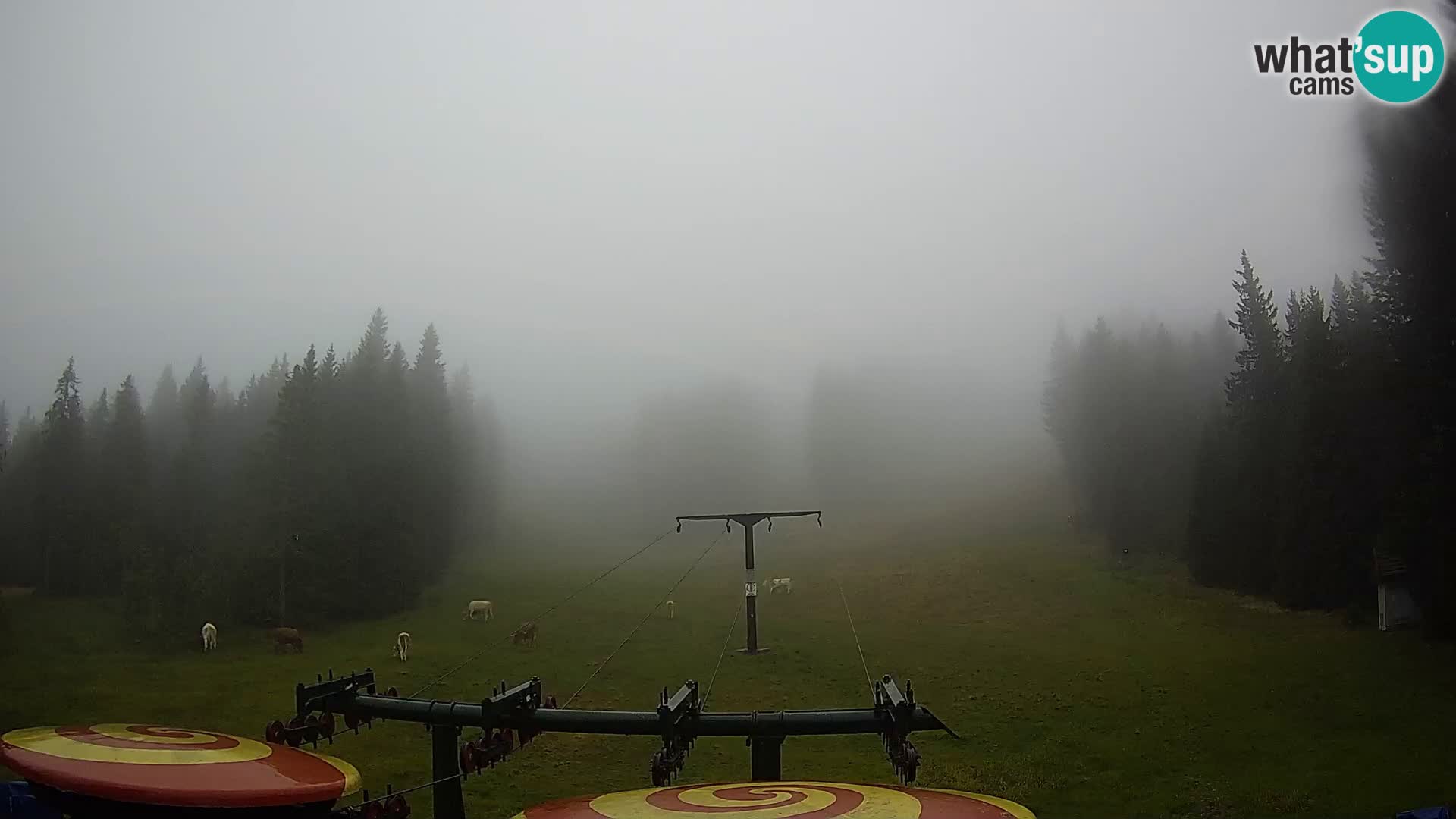 Webcam Live Rogla ski resort – Ostruščica