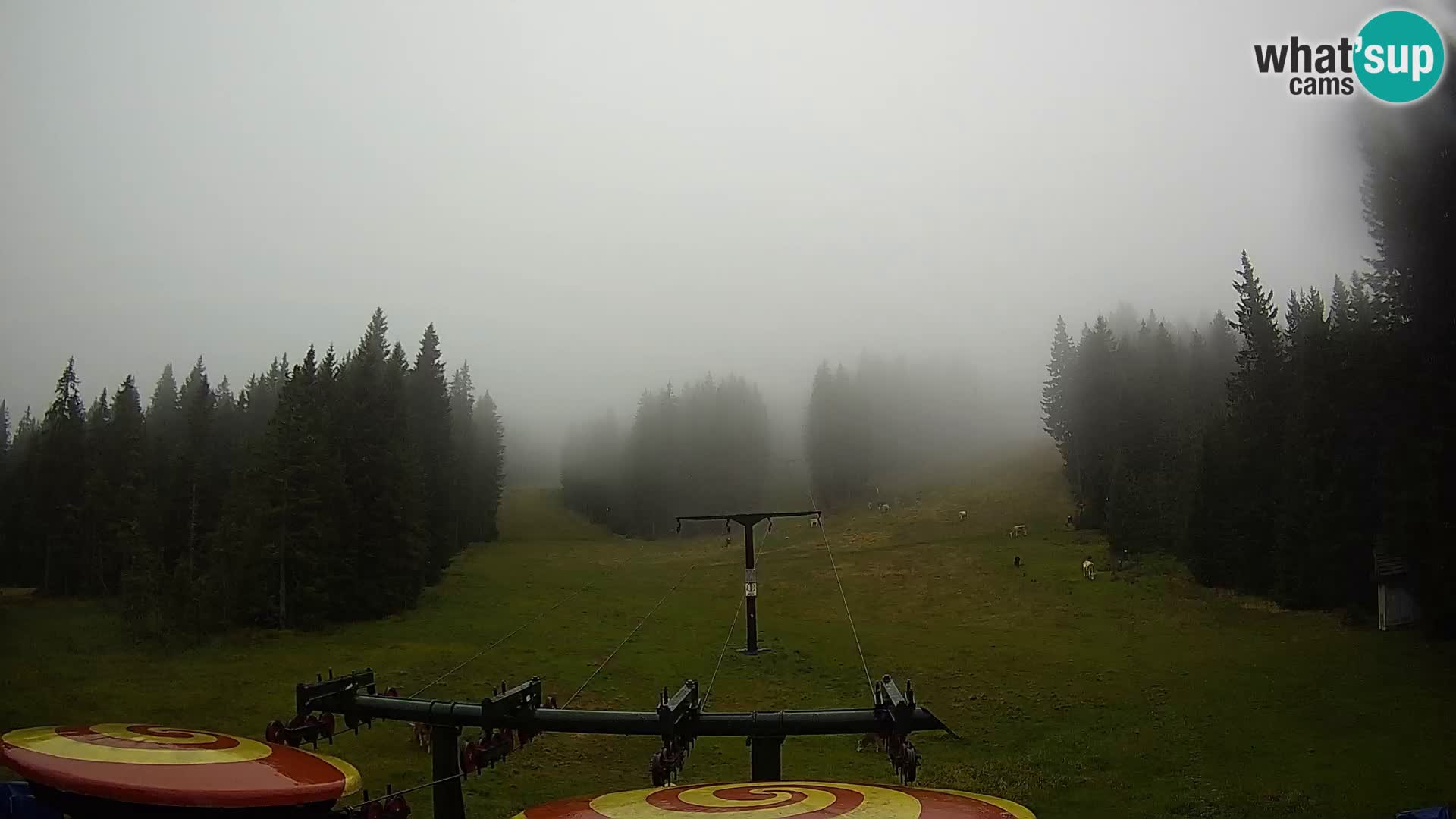 Webcam Live Rogla ski resort – Ostruščica