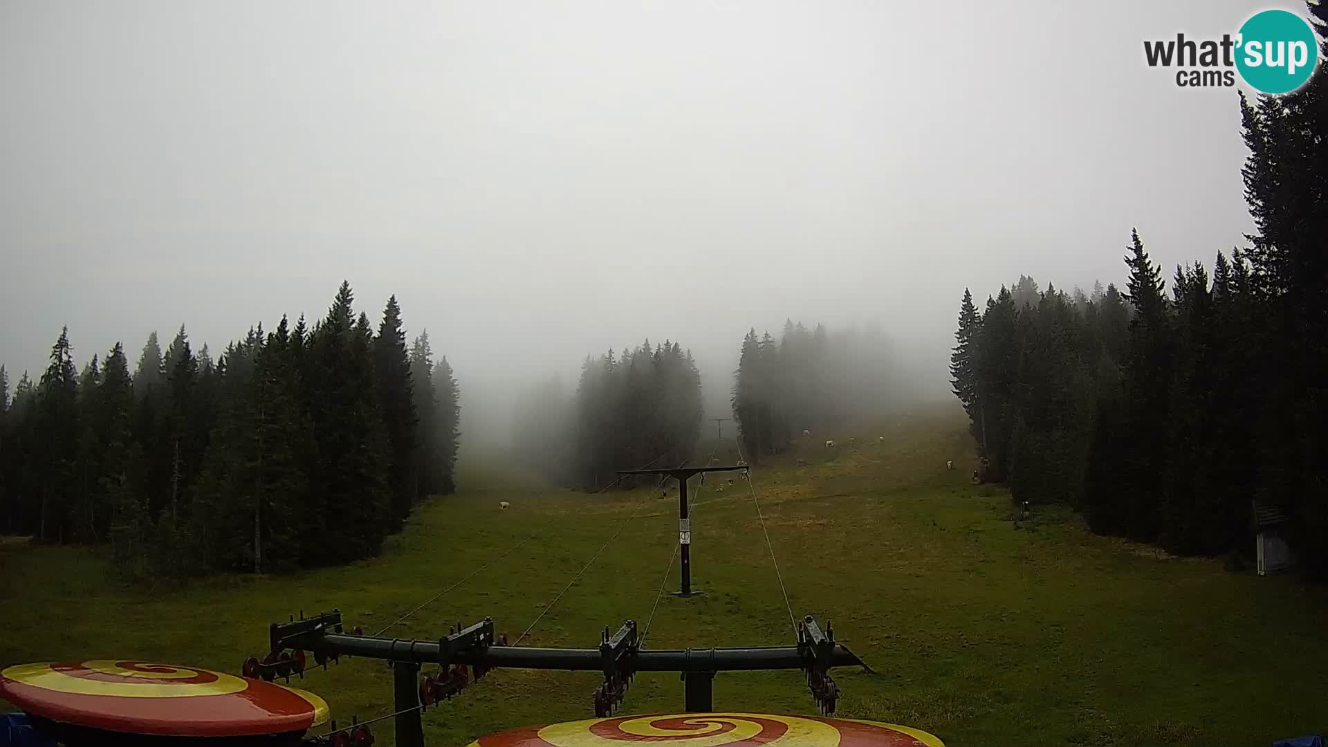 Station de ski Rogla Webcam Ostruščica pistes 1 et 2