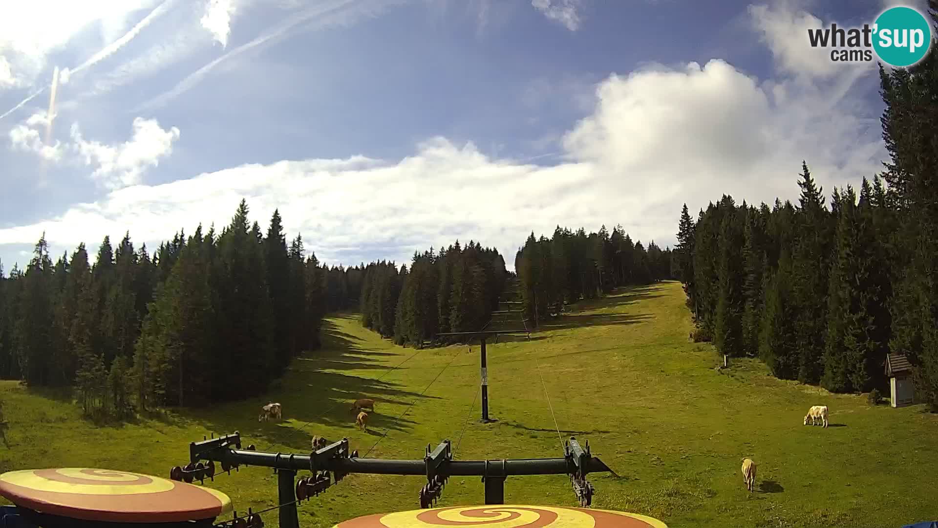 Webcam Live Rogla ski resort – Ostruščica