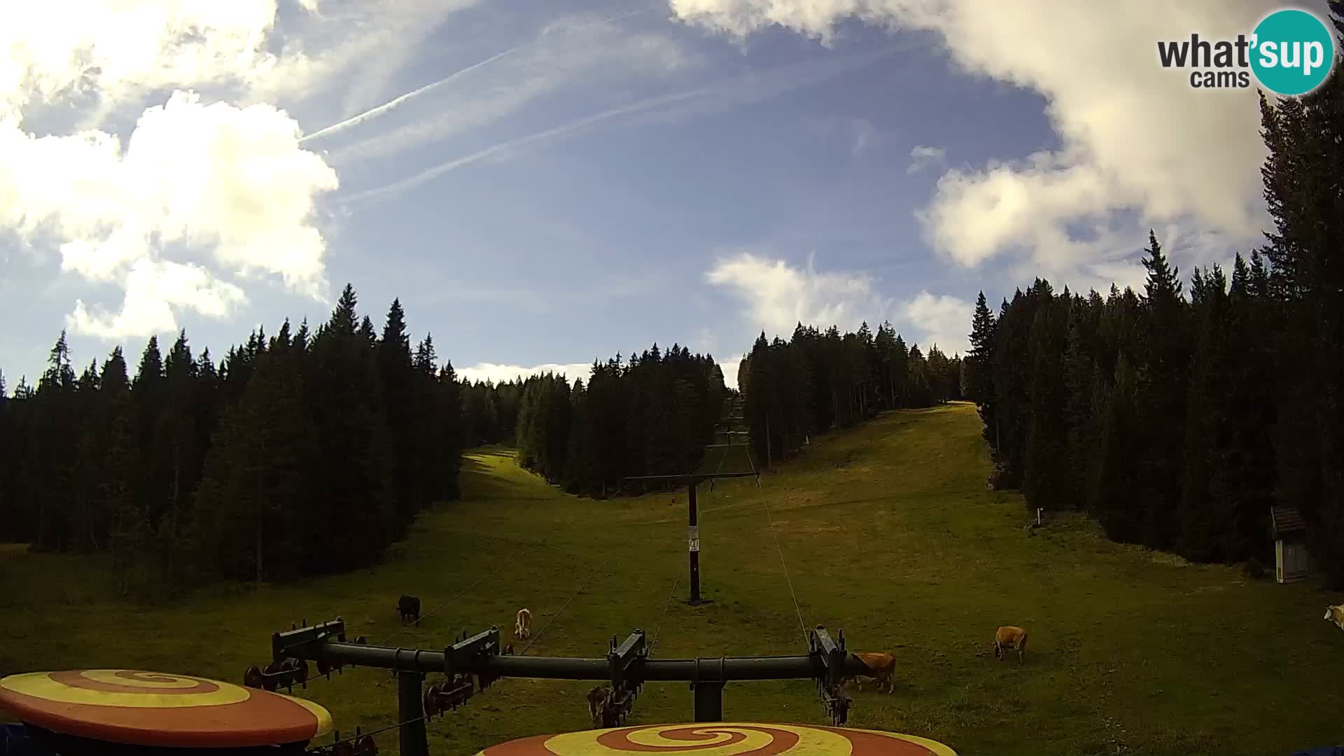 Webcam Live Rogla ski resort – Ostruščica