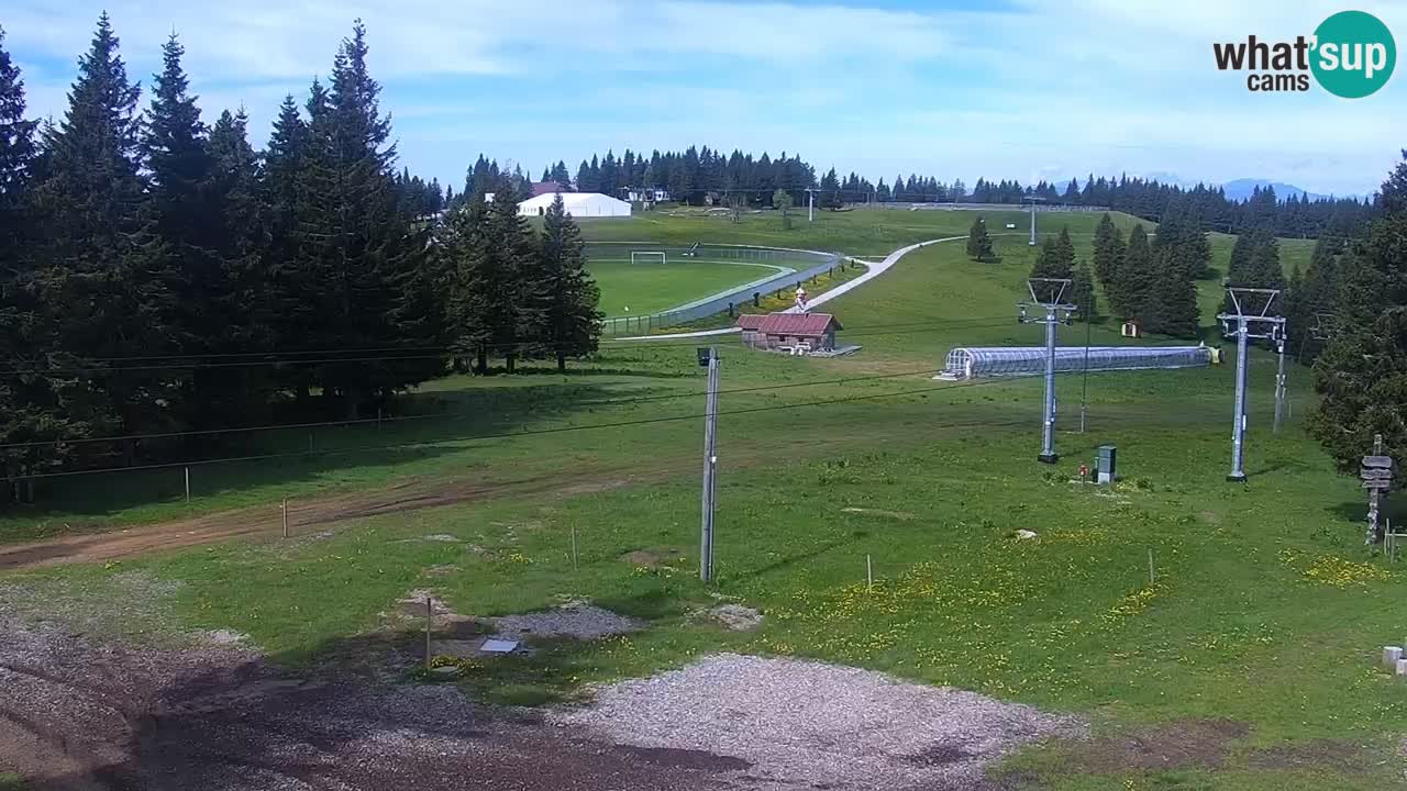 Live webcam Rogla – Uniorček – Ski resort Slovenia