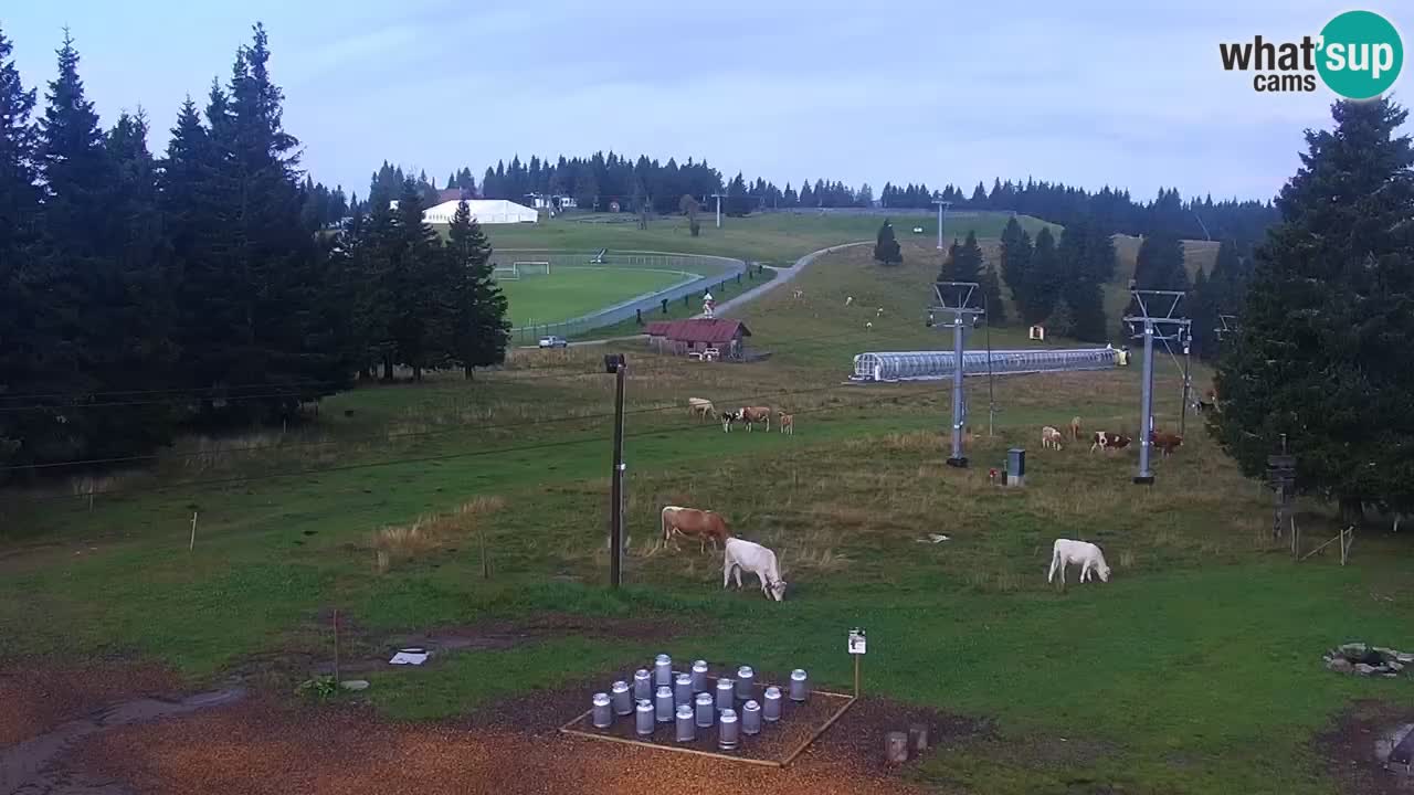 Live webcam Rogla – Uniorček – Ski resort Slovenia