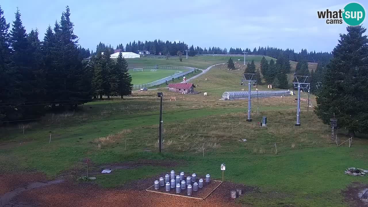 Live webcam Rogla – Uniorček – Ski resort Slovenia