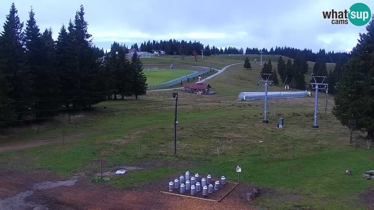 Live webcam Rogla – Uniorček – Ski resort Slovenia