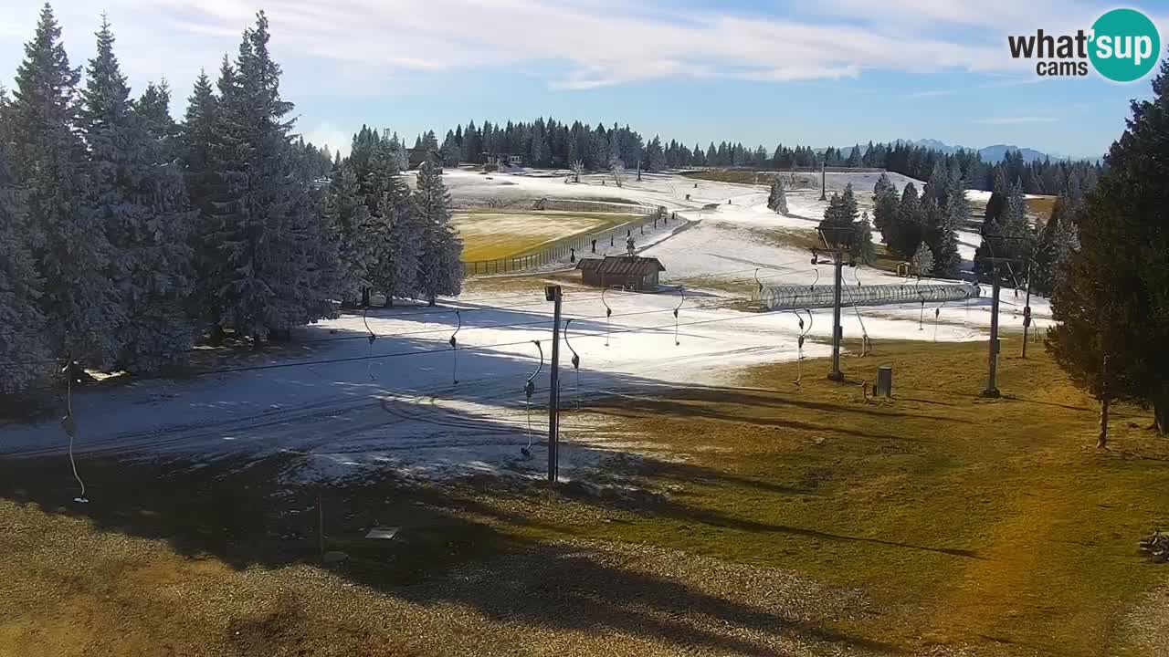 Live webcam Rogla – Uniorček – Ski resort Slovenia