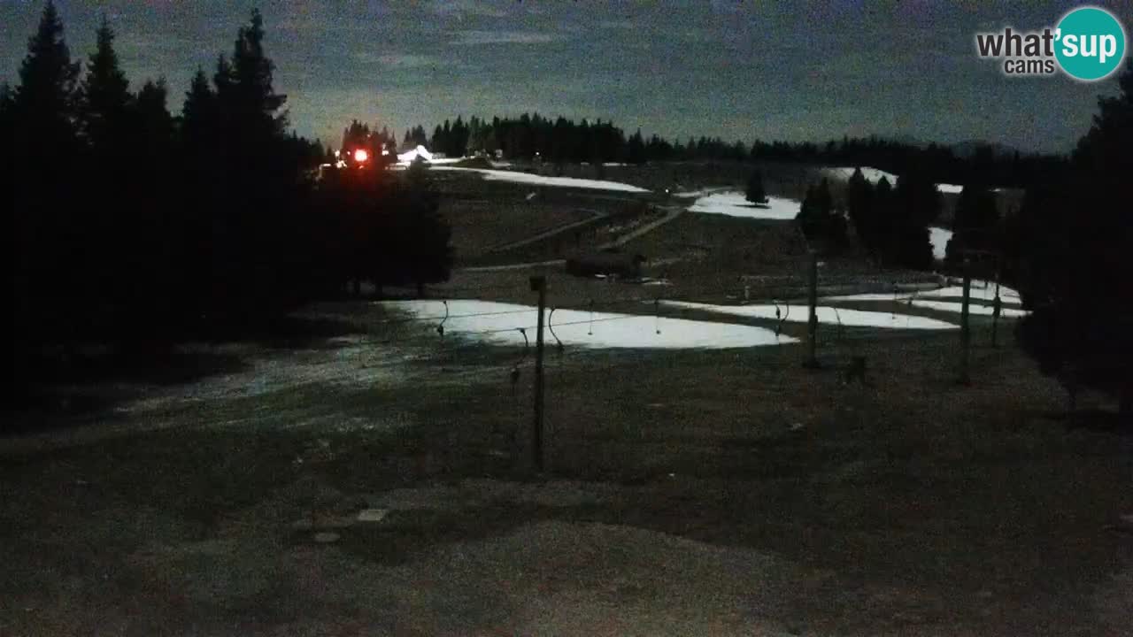 Live webcam Rogla – Uniorček – Ski resort Slovenia