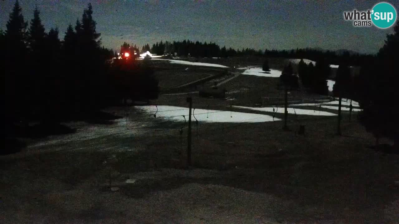 Live webcam Rogla – Uniorček – Ski resort Slovenia