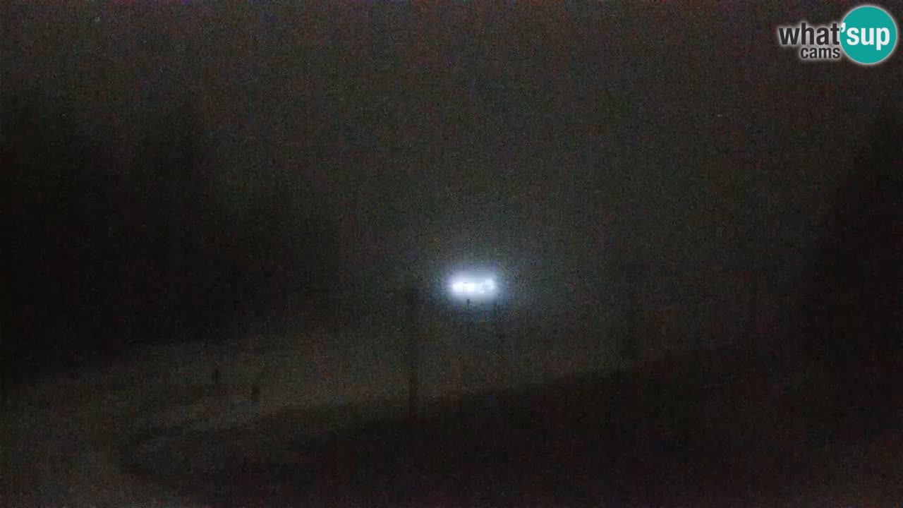 Live webcam Rogla – Uniorček – Ski resort Slovenia