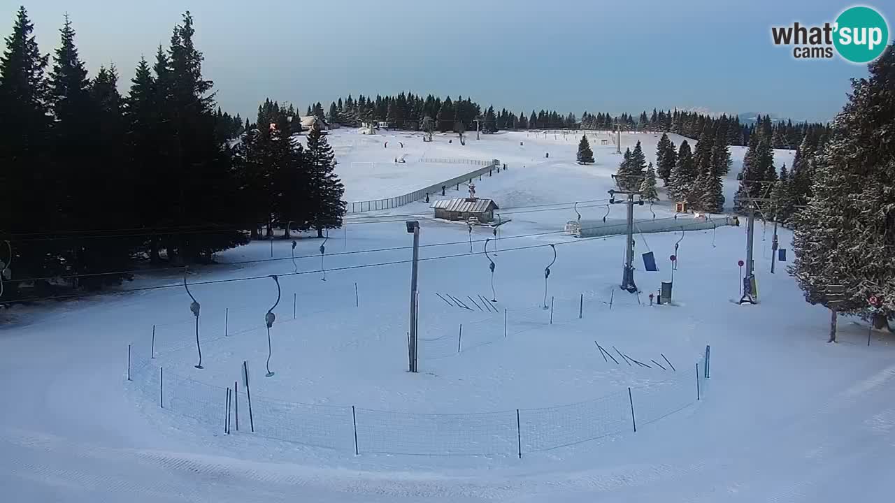 Live webcam Rogla – Uniorček – Ski resort Slovenia