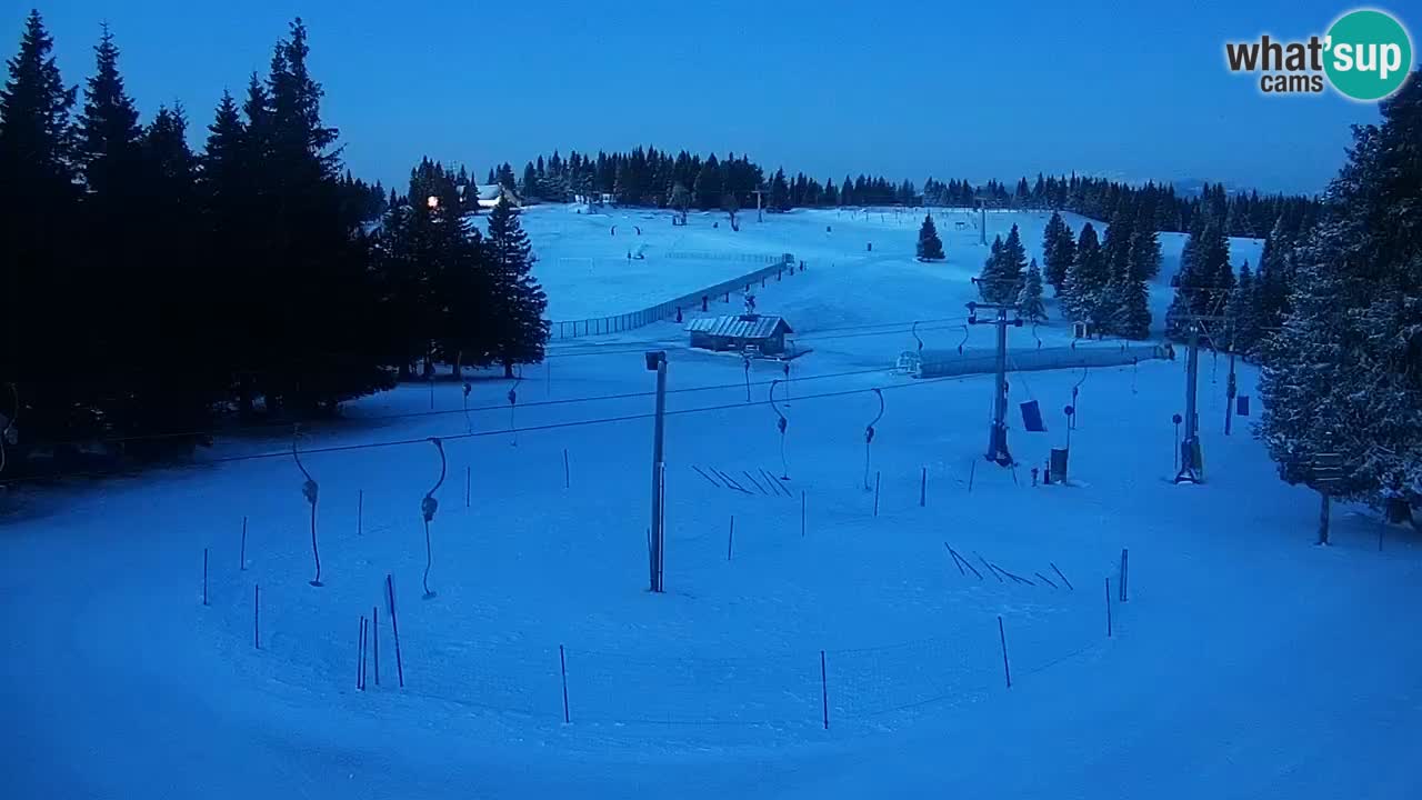 Live webcam Rogla – Uniorček – Ski resort Slovenia