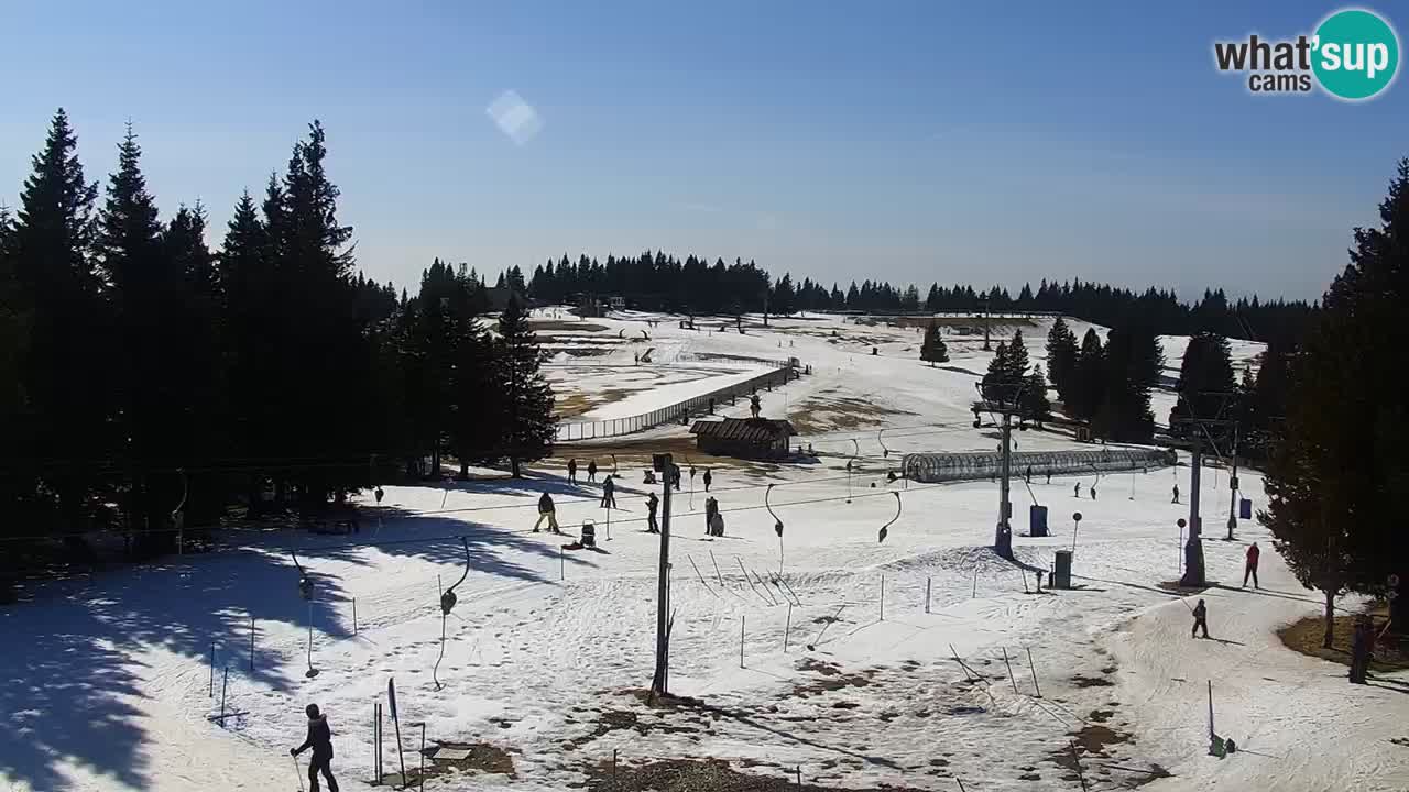 Live webcam Rogla – Uniorček – Ski resort Slovenia