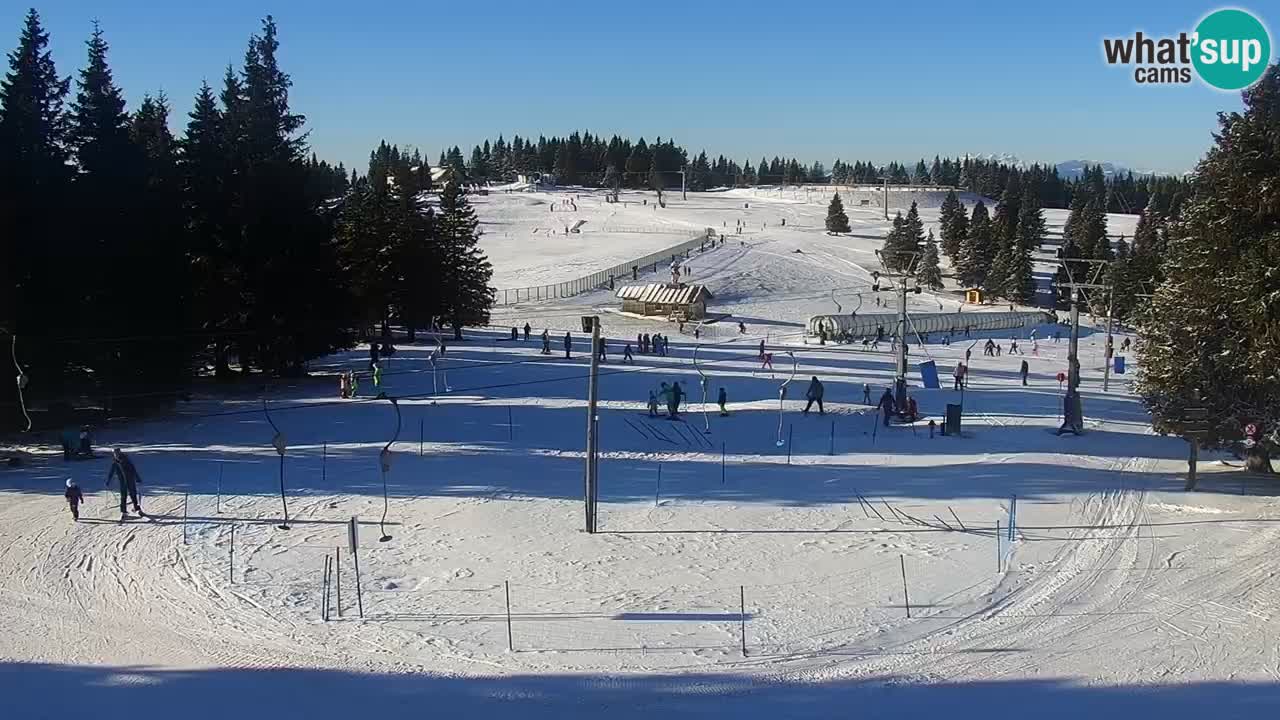 Live webcam Rogla – Uniorček – Ski resort Slovenia