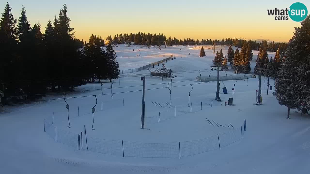 Live webcam Rogla – Uniorček – Ski resort Slovenia