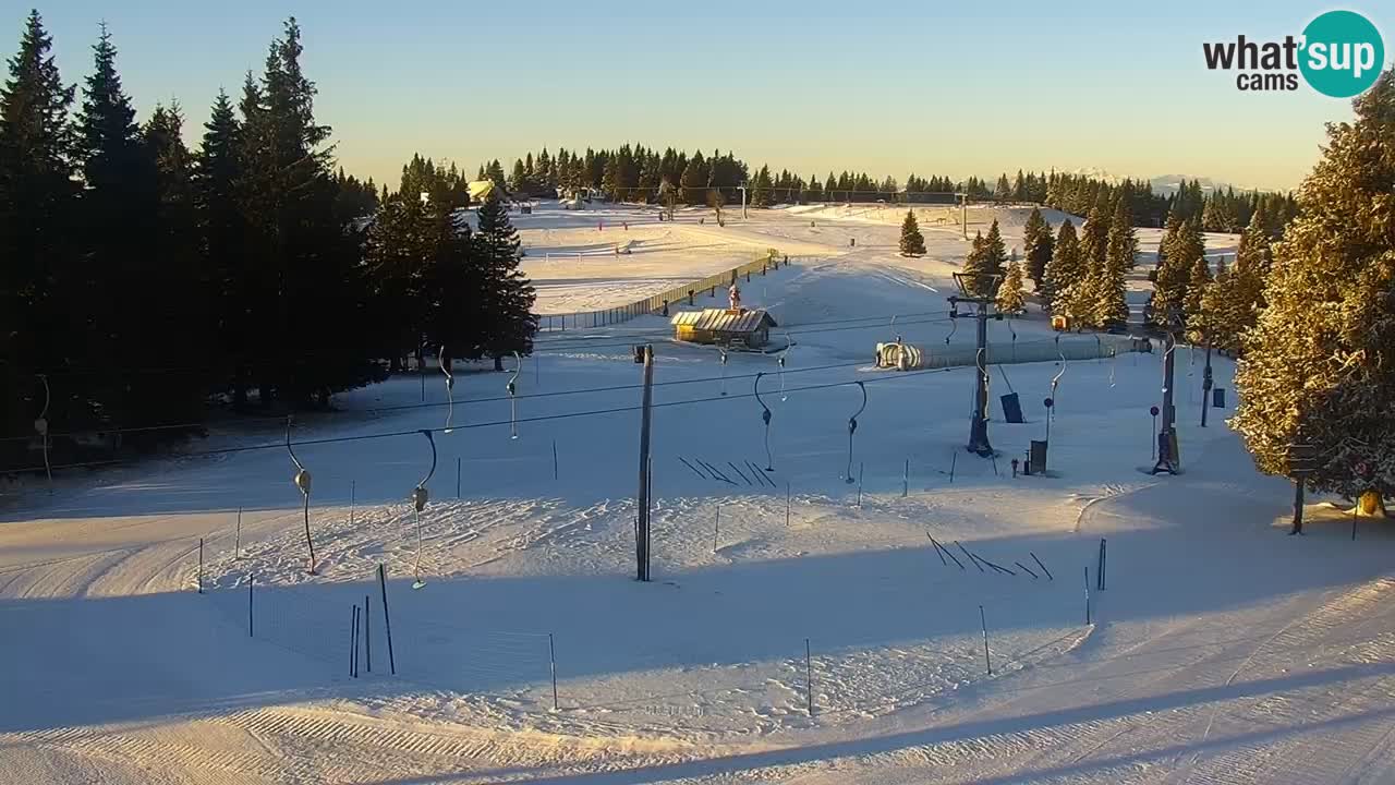 Live webcam Rogla – Uniorček – Ski resort Slovenia