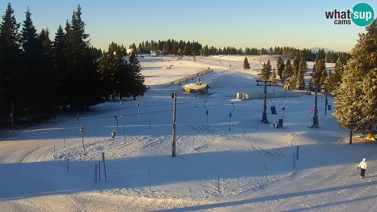 Live webcam Rogla – Uniorček – Ski resort Slovenia