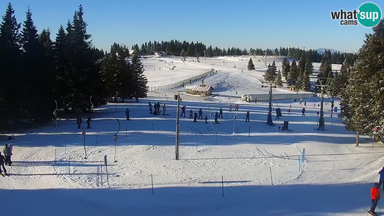 Live webcam Rogla – Uniorček – Ski resort Slovenia