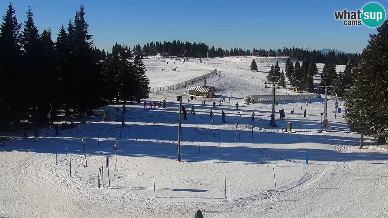 Live webcam Rogla – Uniorček – Ski resort Slovenia