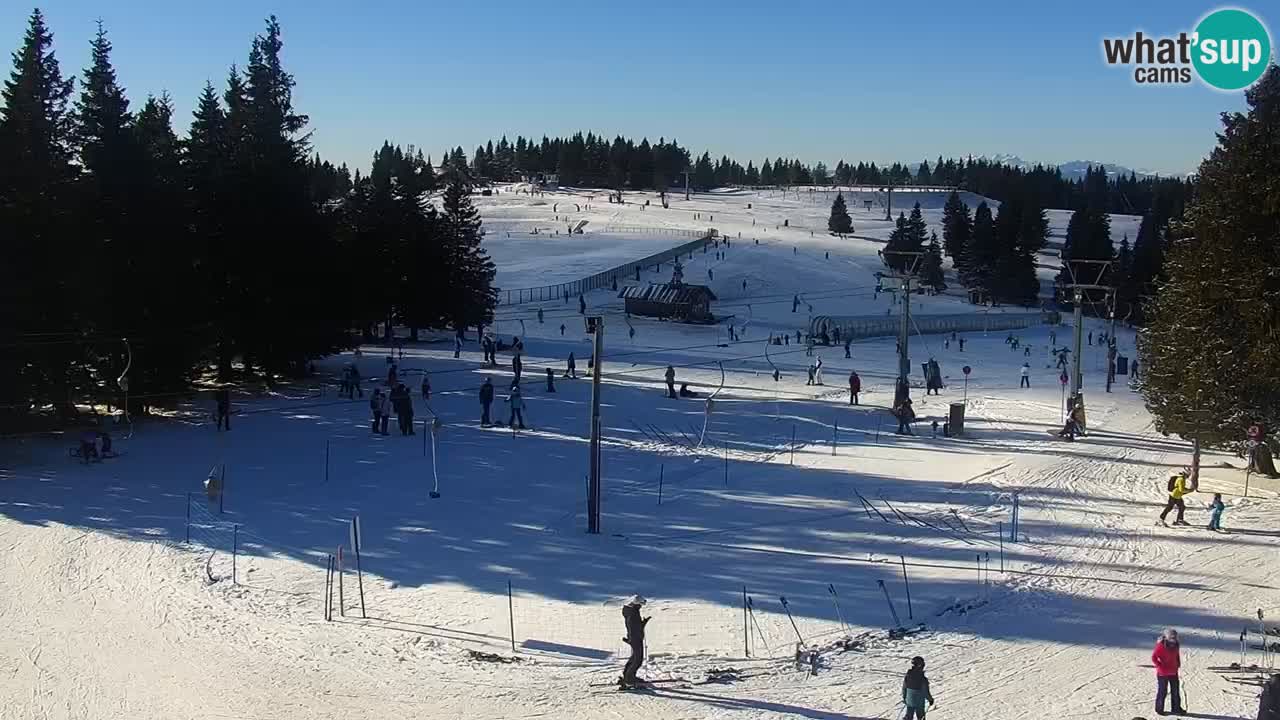 Live webcam Rogla – Uniorček – Ski resort Slovenia