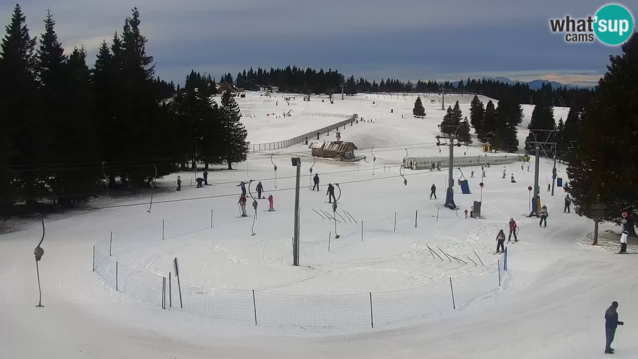 Live webcam Rogla – Uniorček – Ski resort Slovenia