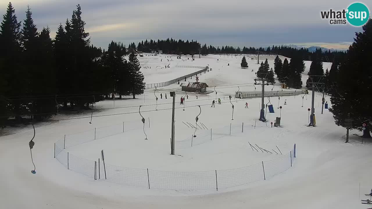 Live webcam Rogla – Uniorček – Ski resort Slovenia