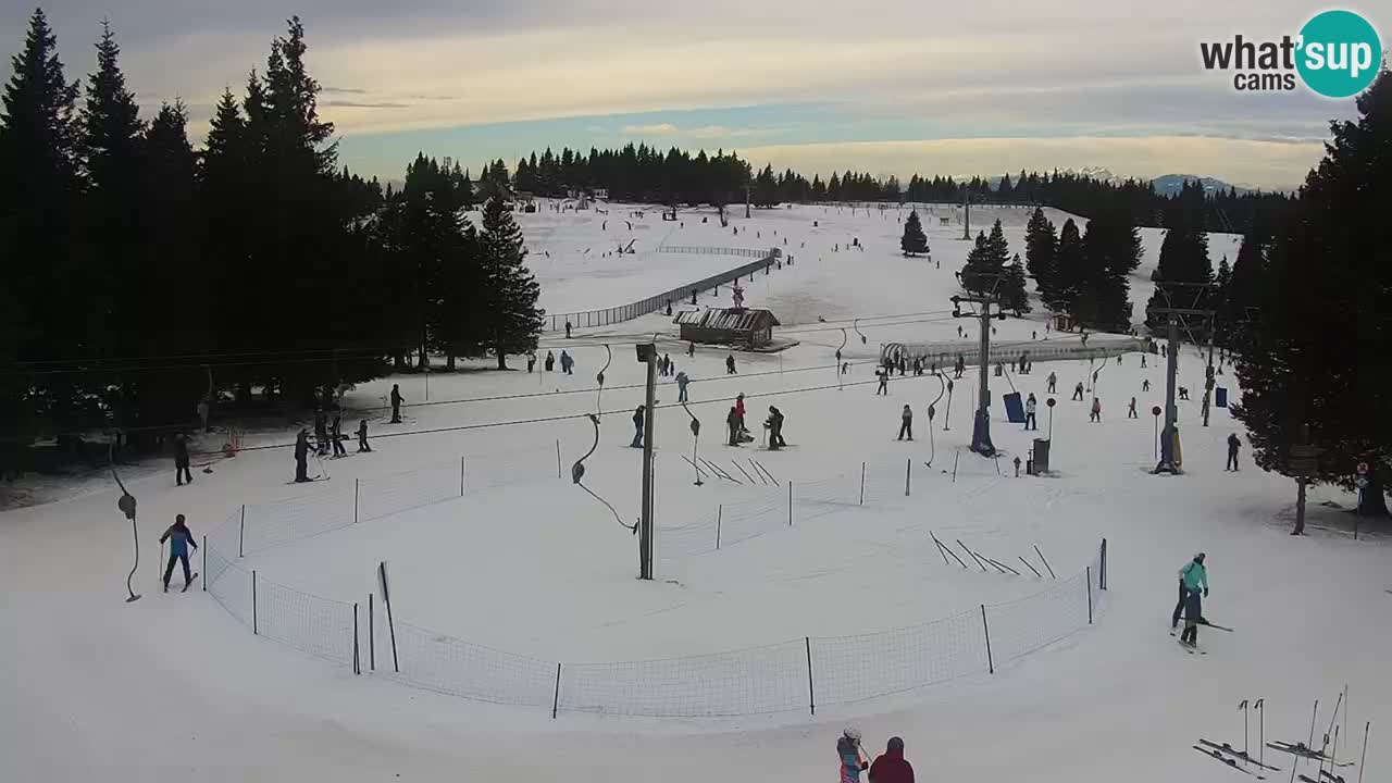 Live webcam Rogla – Uniorček – Ski resort Slovenia