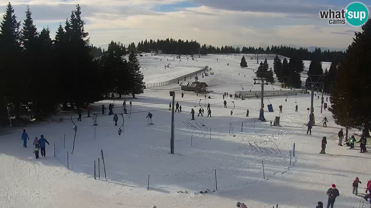 Live webcam Rogla – Uniorček – Ski resort Slovenia