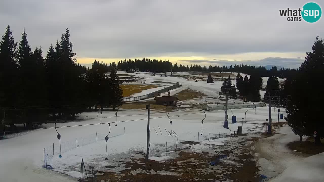 Live webcam Rogla – Uniorček – Ski resort Slovenia