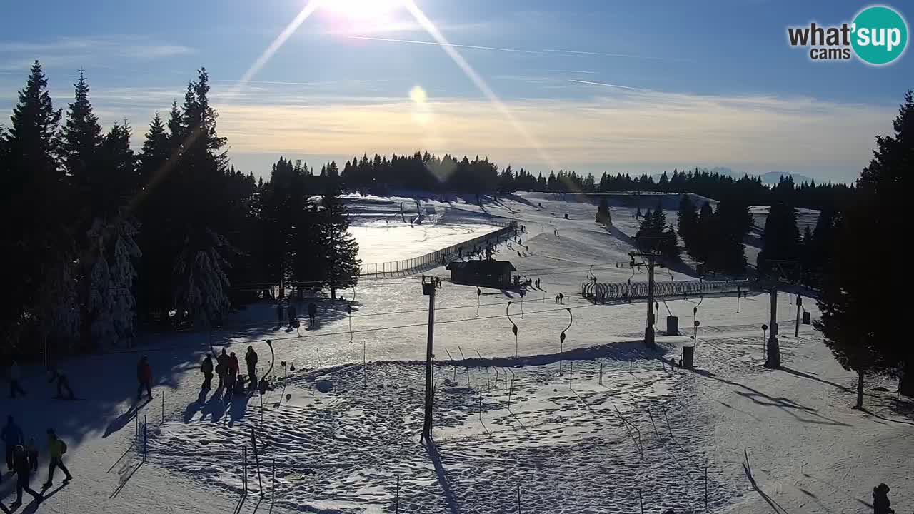 Live webcam Rogla – Uniorček – Ski resort Slovenia