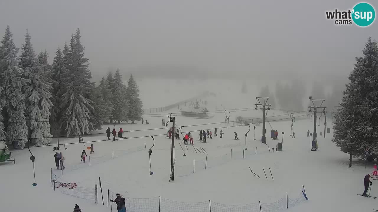 Live webcam Rogla – Uniorček – Ski resort Slovenia