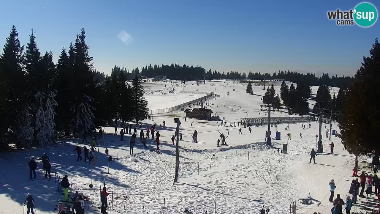 Live webcam Rogla – Uniorček – Ski resort Slovenia