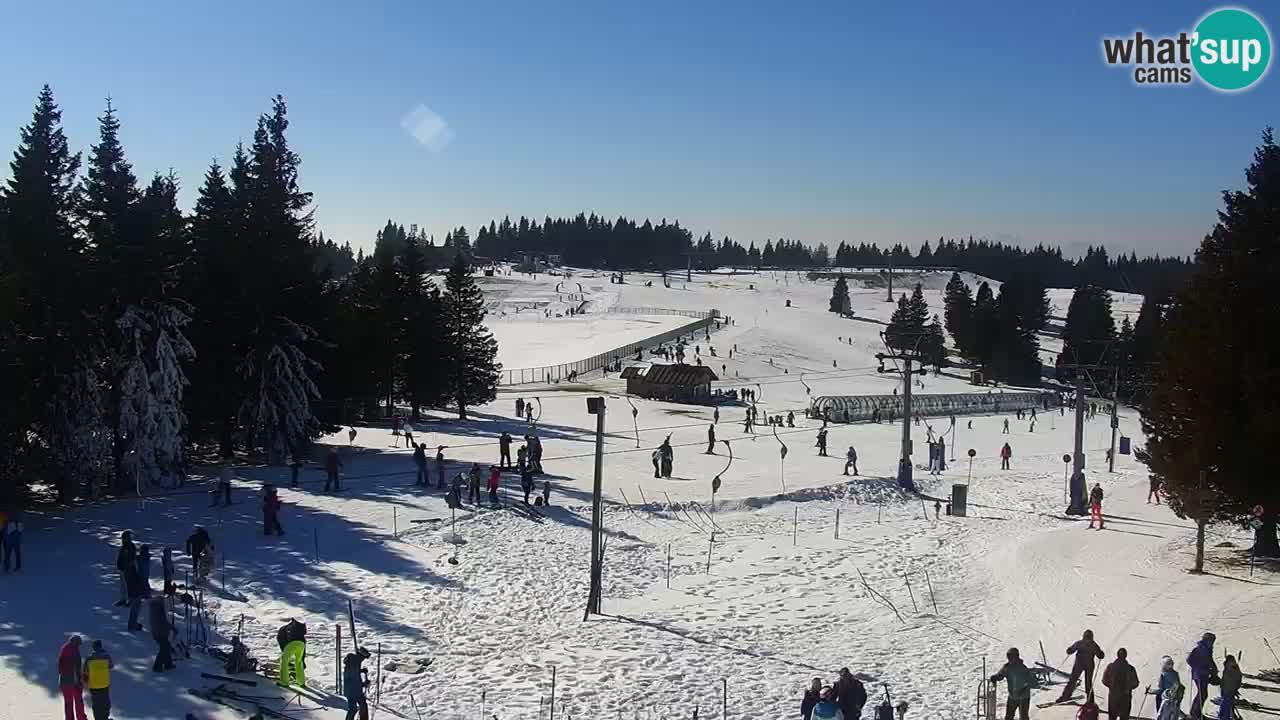 Live webcam Rogla – Uniorček – Ski resort Slovenia