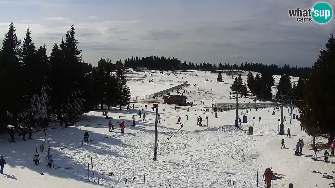 Live webcam Rogla – Uniorček – Ski resort Slovenia