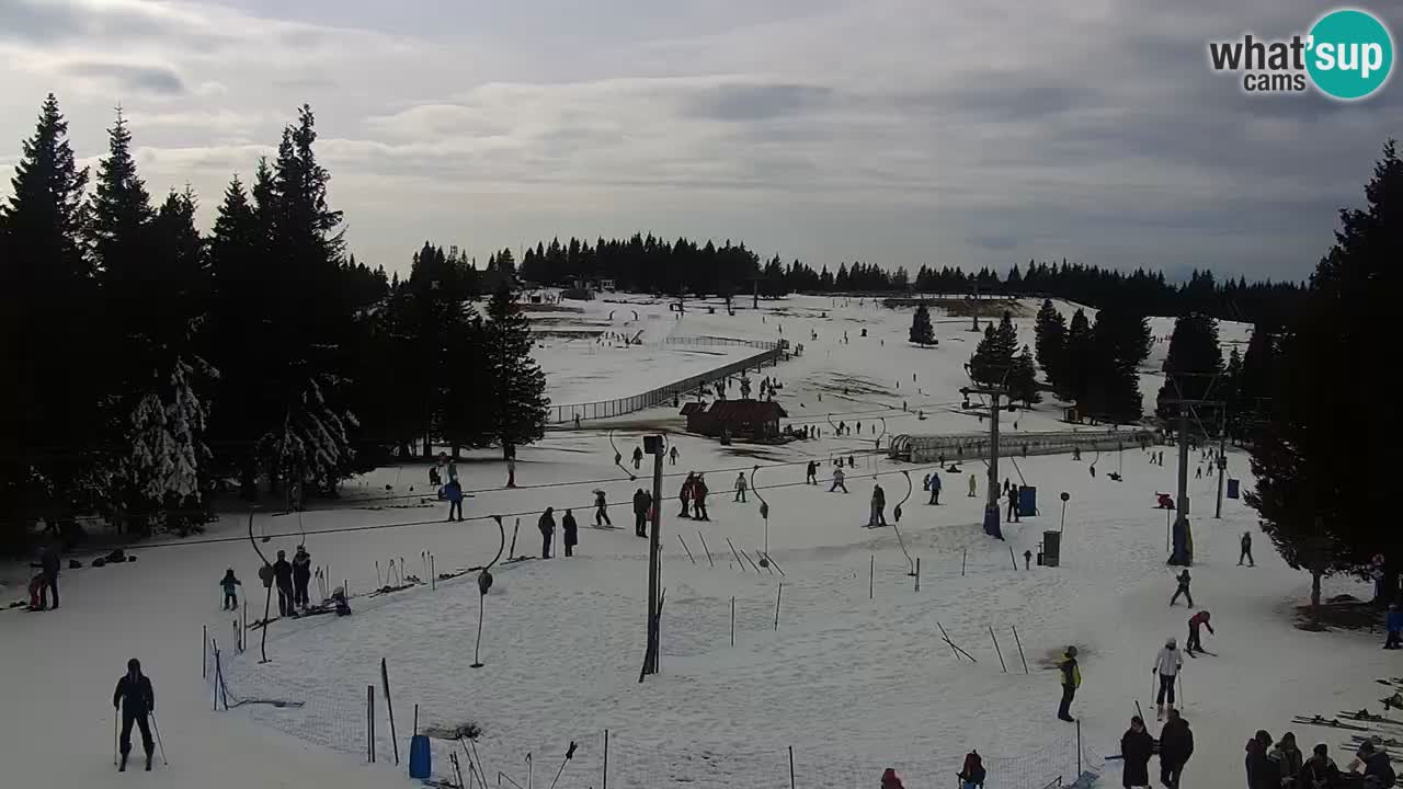 Live webcam Rogla – Uniorček – Ski resort Slovenia