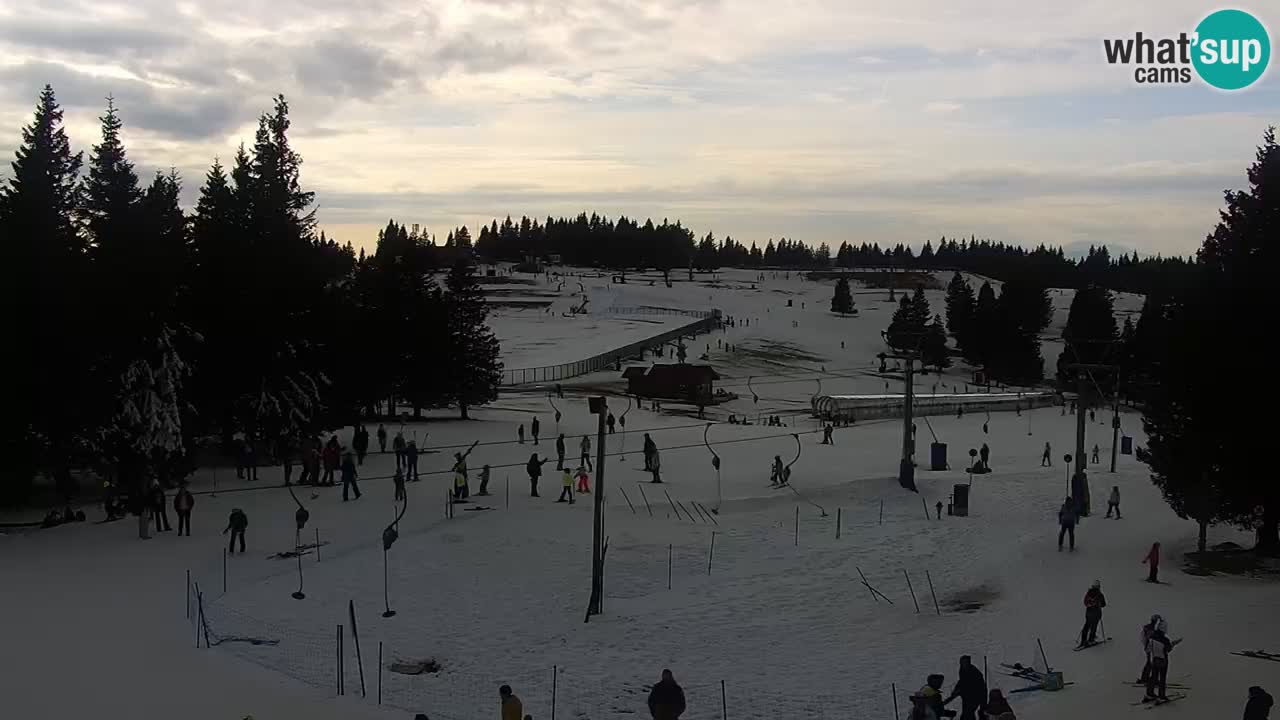 Live webcam Rogla – Uniorček – Ski resort Slovenia