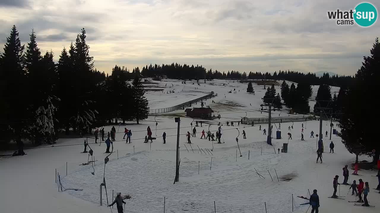 Live webcam Rogla – Uniorček – Ski resort Slovenia