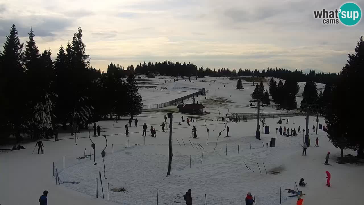 Live webcam Rogla – Uniorček – Ski resort Slovenia