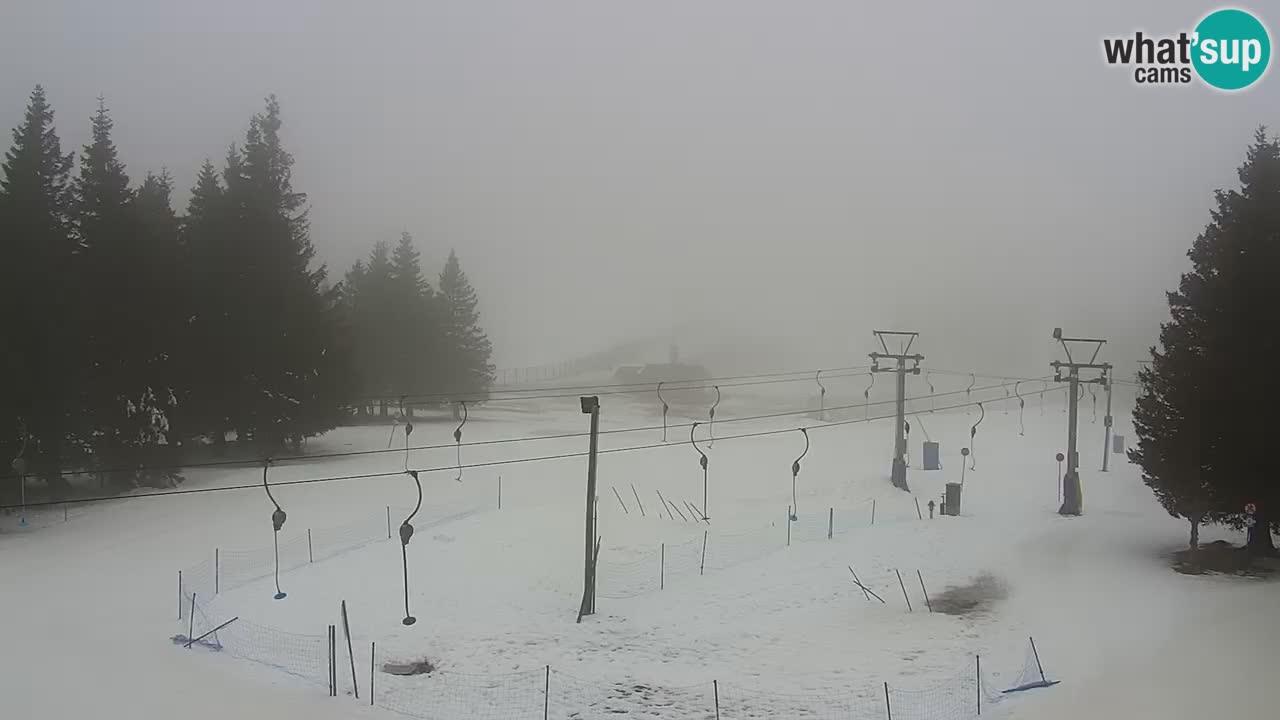 Live webcam Rogla – Uniorček – Ski resort Slovenia