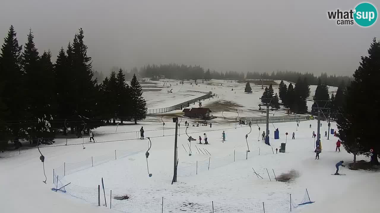 Live webcam Rogla – Uniorček – Ski resort Slovenia