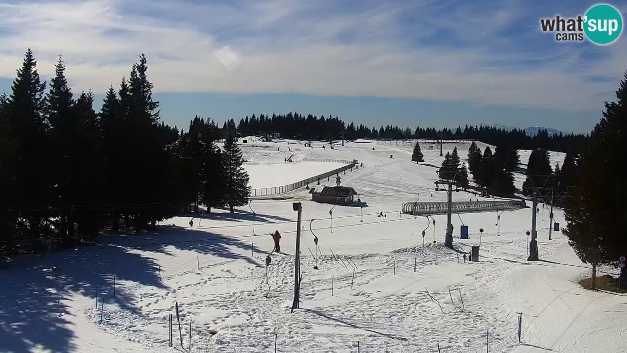 Live webcam Rogla – Uniorček – Ski resort Slovenia