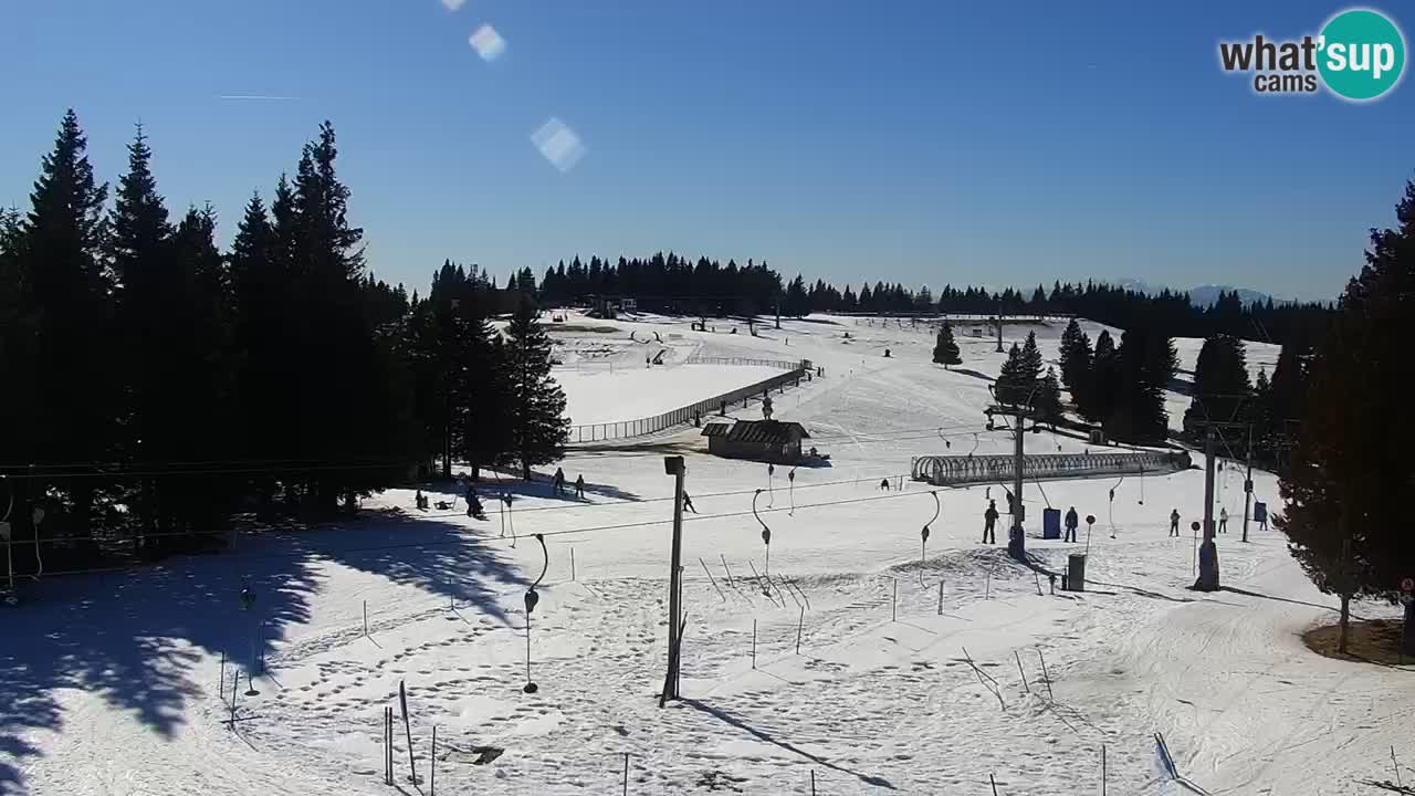 Live webcam Rogla – Uniorček – Ski resort Slovenia