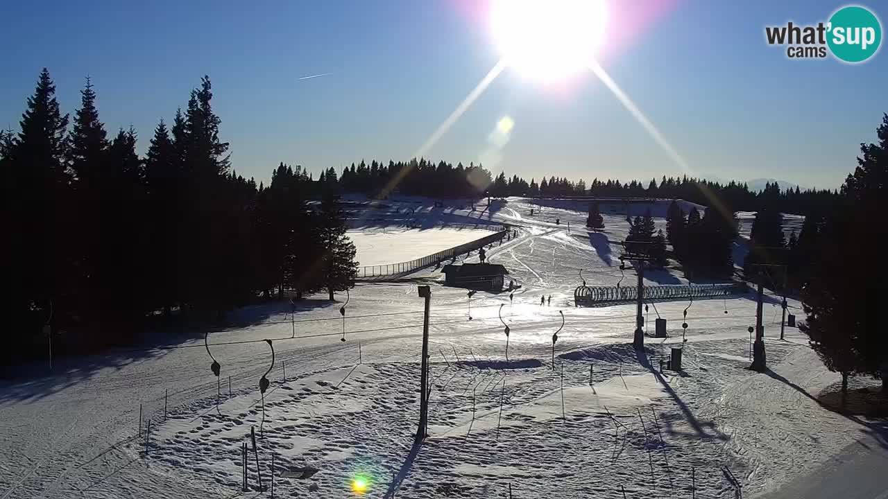 Live webcam Rogla – Uniorček – Ski resort Slovenia