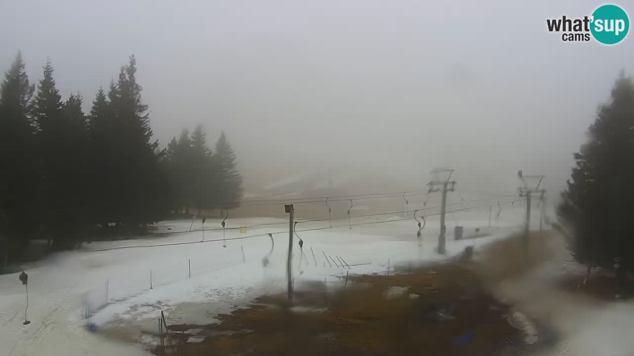 Live webcam Rogla – Uniorček – Ski resort Slovenia