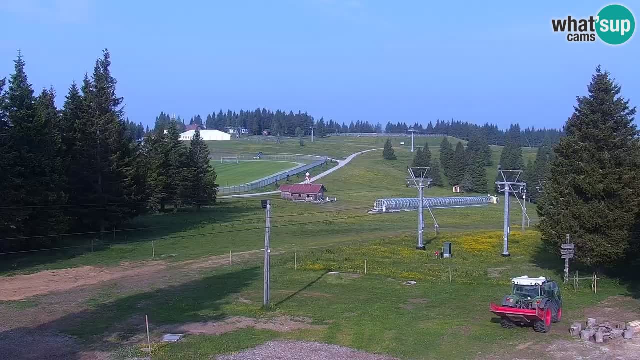 Live webcam Rogla – Uniorček – Ski resort Slovenia
