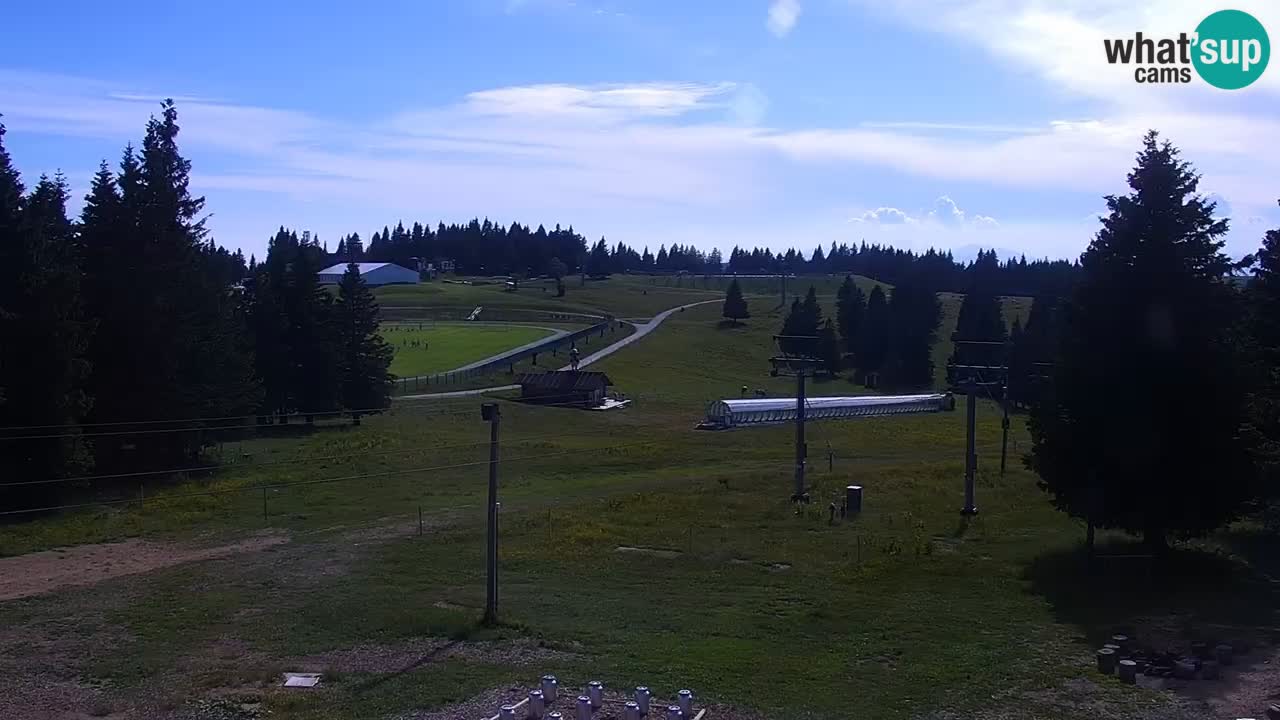 Live webcam Rogla – Uniorček – Ski resort Slovenia