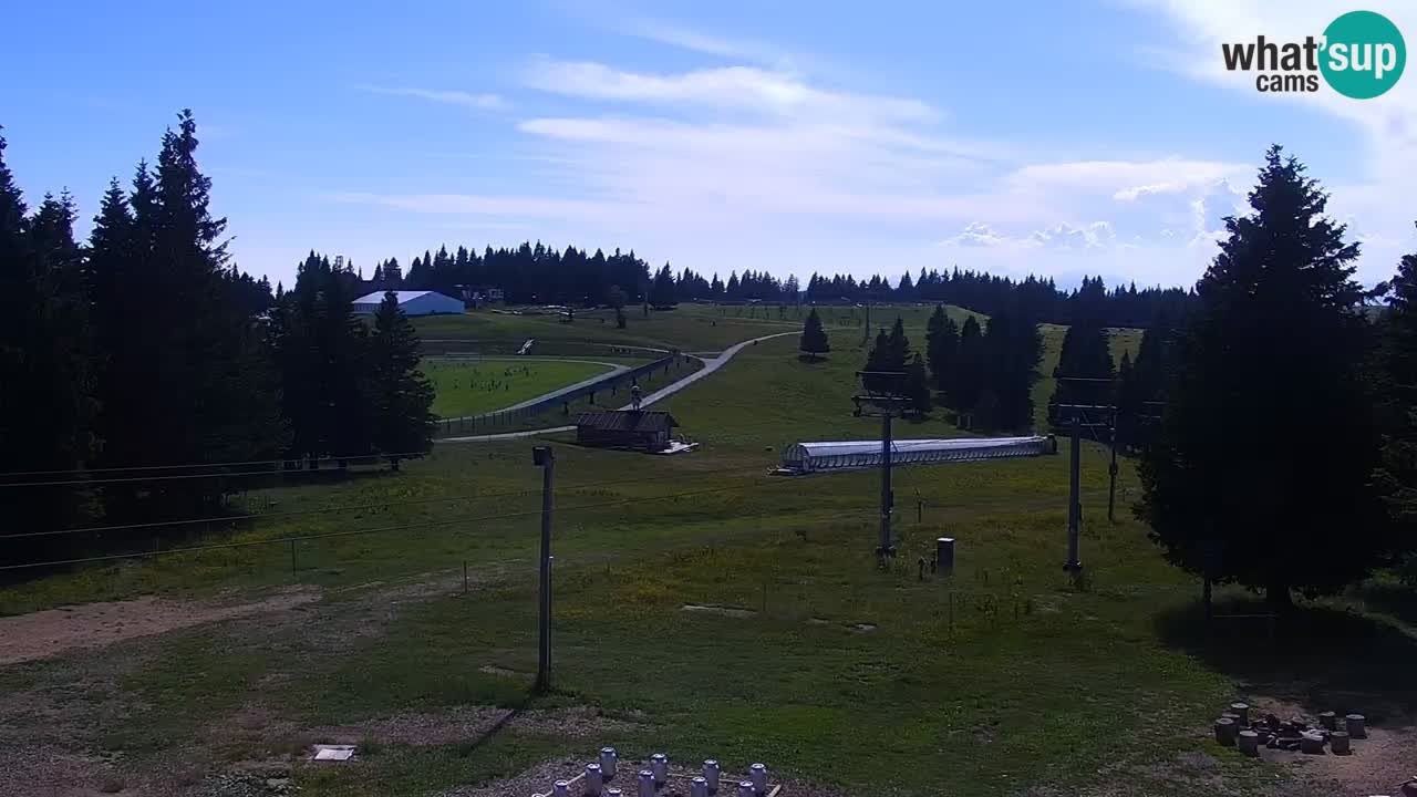 Live webcam Rogla – Uniorček – Ski resort Slovenia